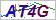 看不清？点击更换